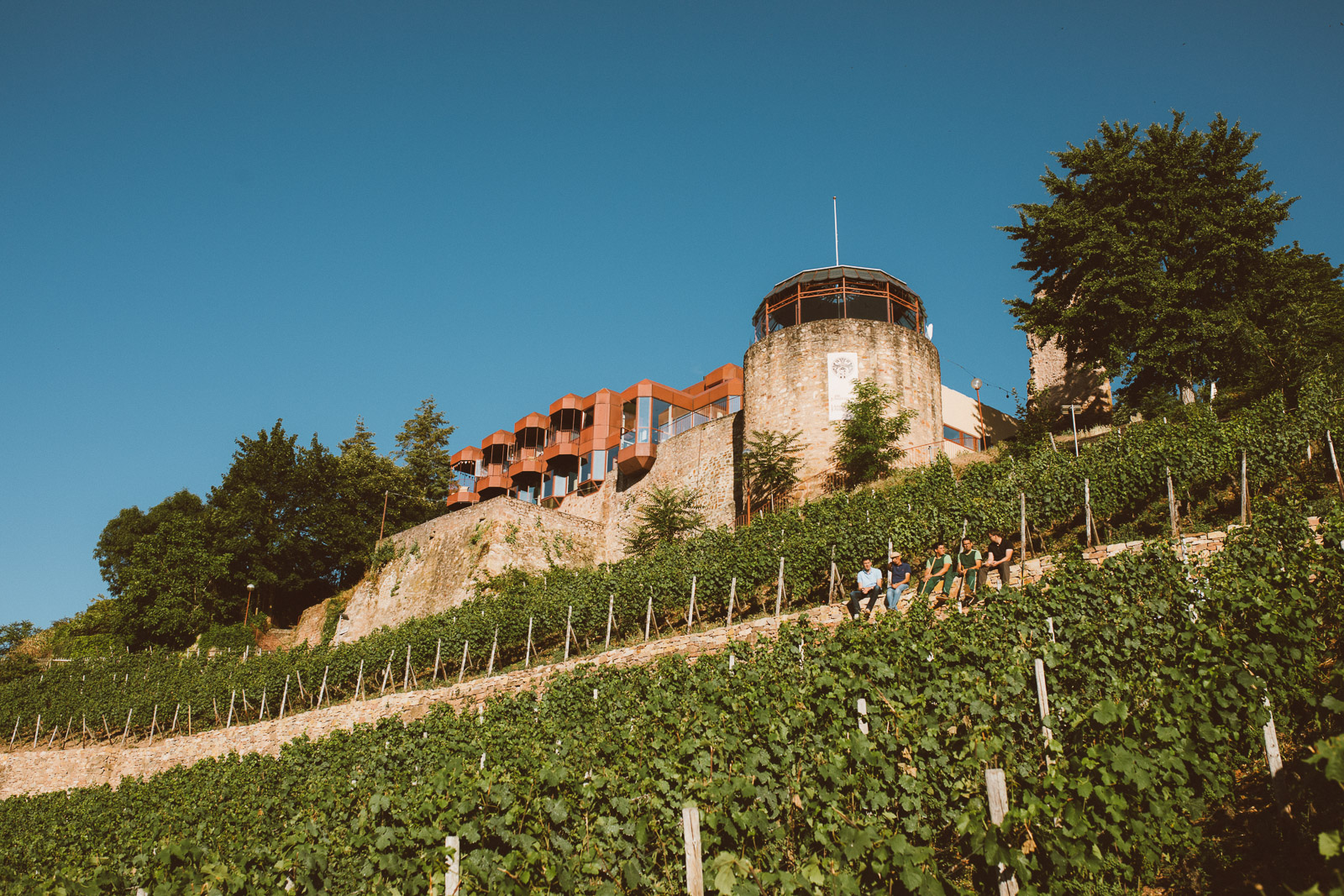 Wines