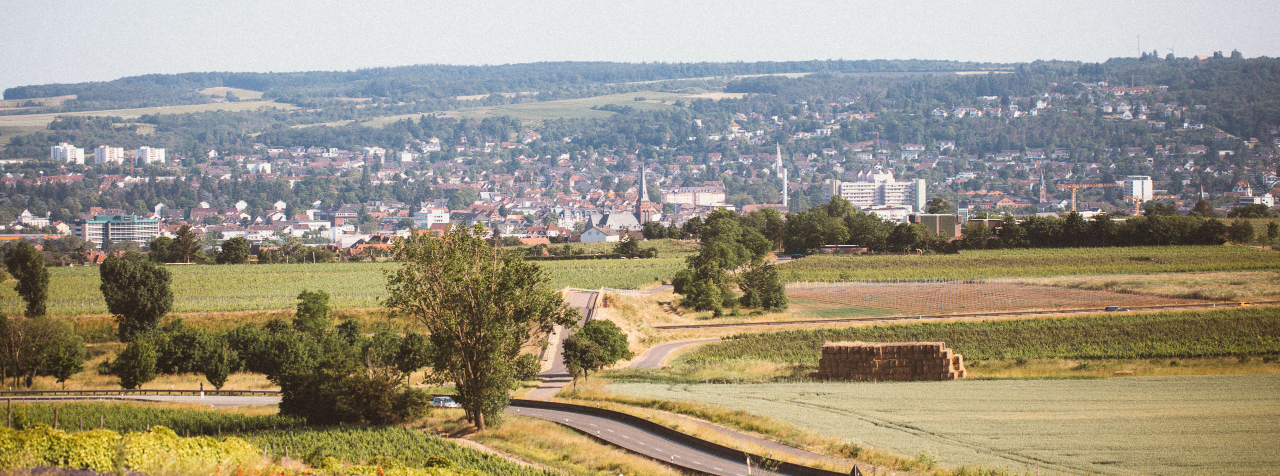 Weingut